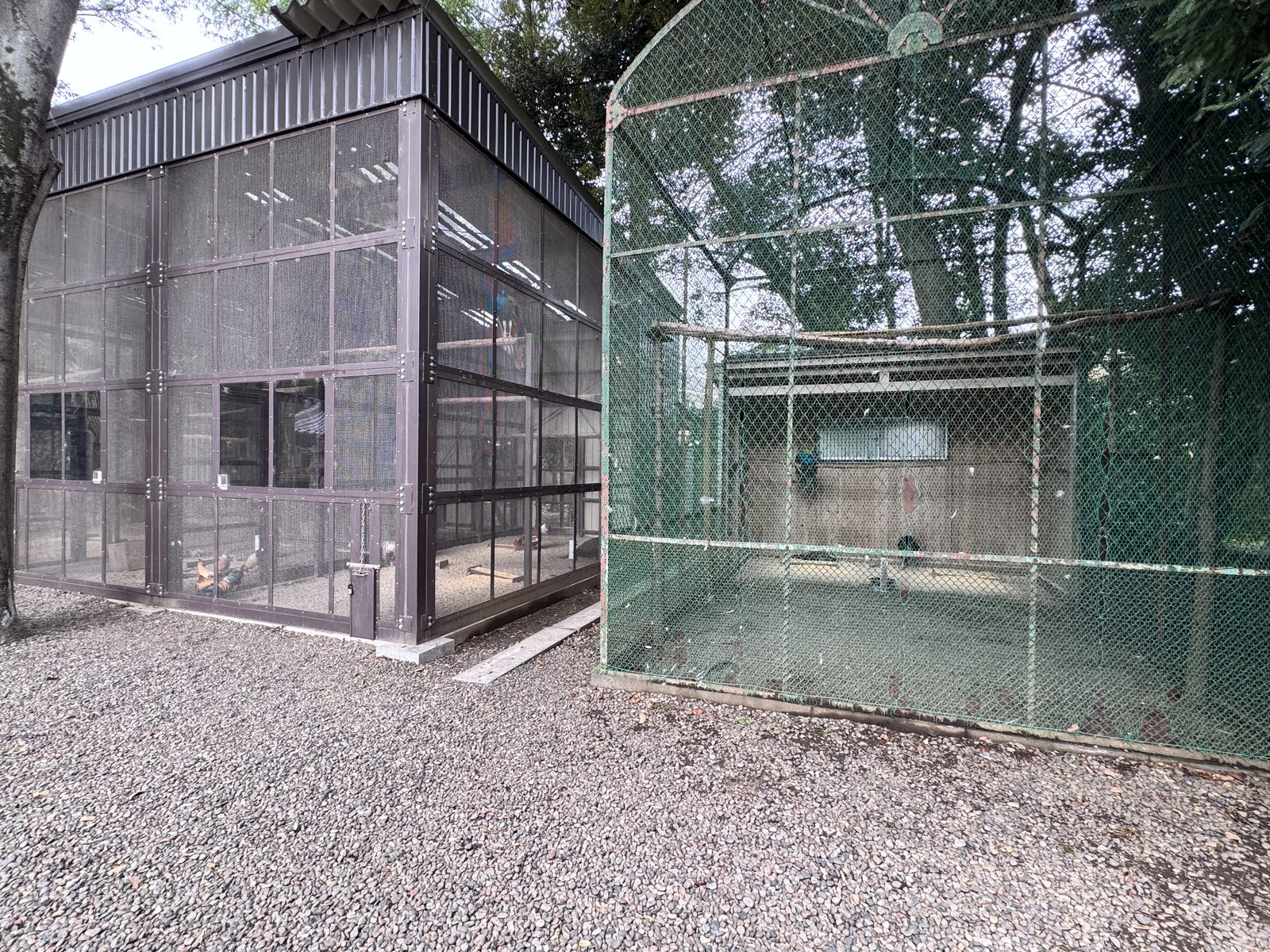 久伊豆神社の孔雀小屋